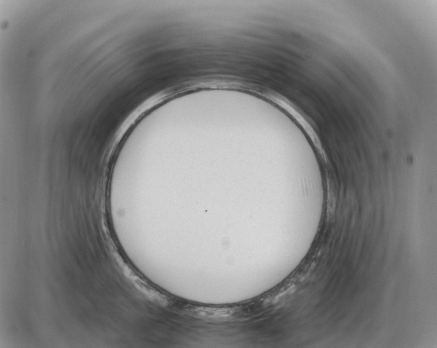 X0000086060861200704202059