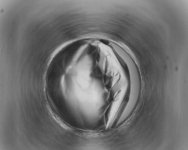 X0000086060862200704202059