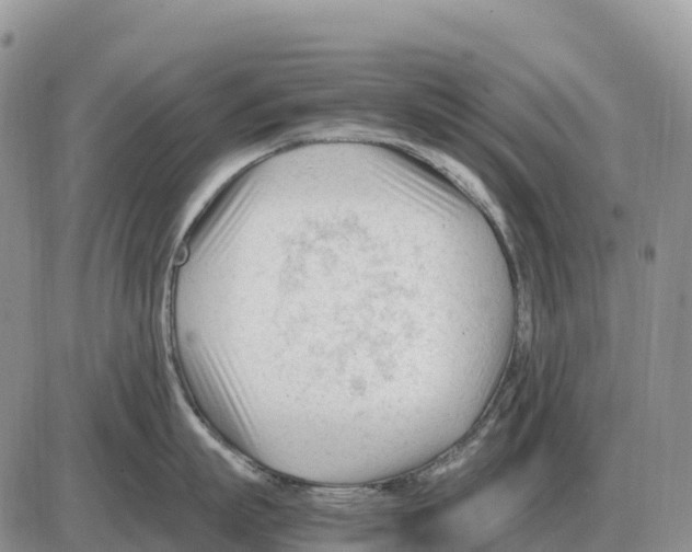 X0000086060863200704202059