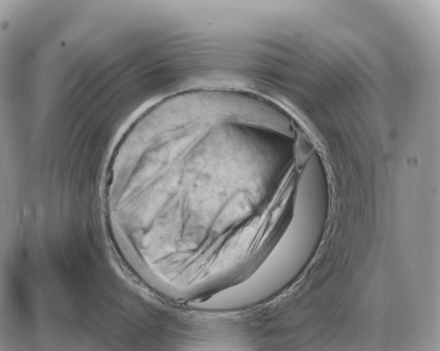 X0000086060864200704202059