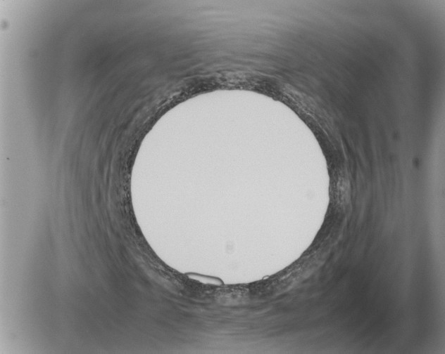 X0000086060865200704202058