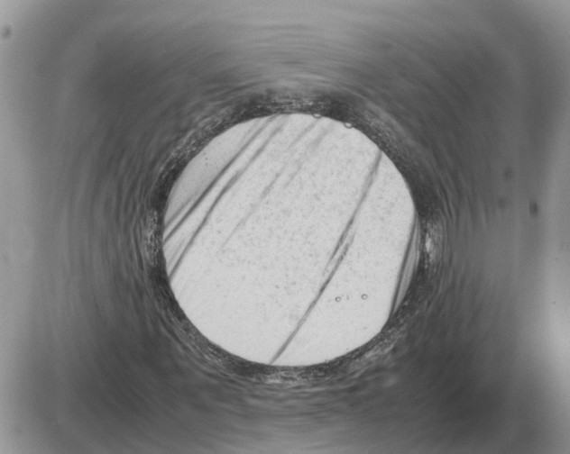 X0000086060867200704202058