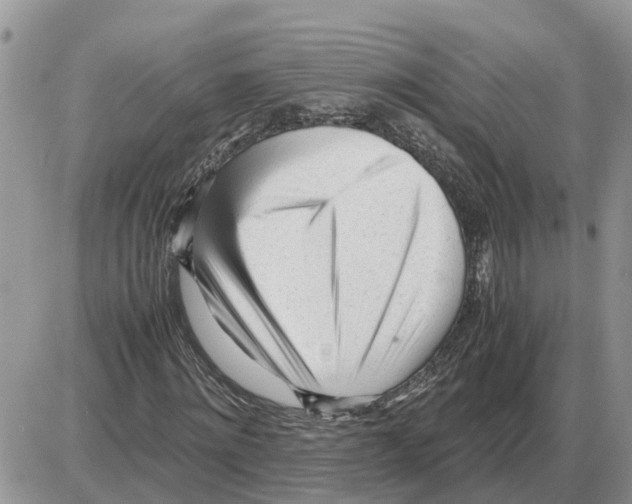 X0000086060868200704202058