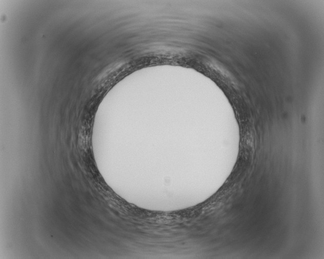 X0000086060869200704202058