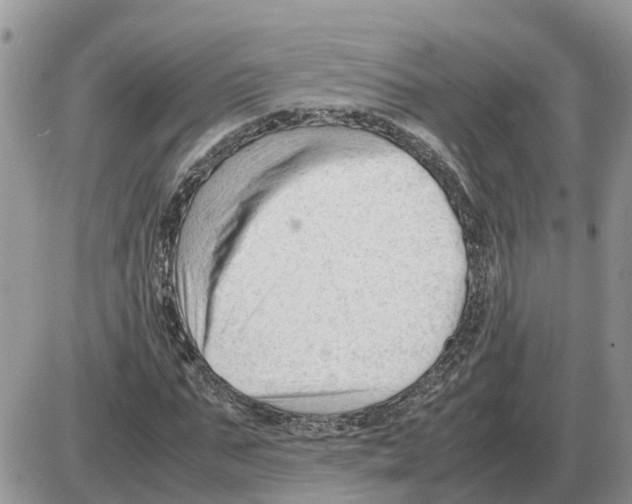 X0000086060871200704202058