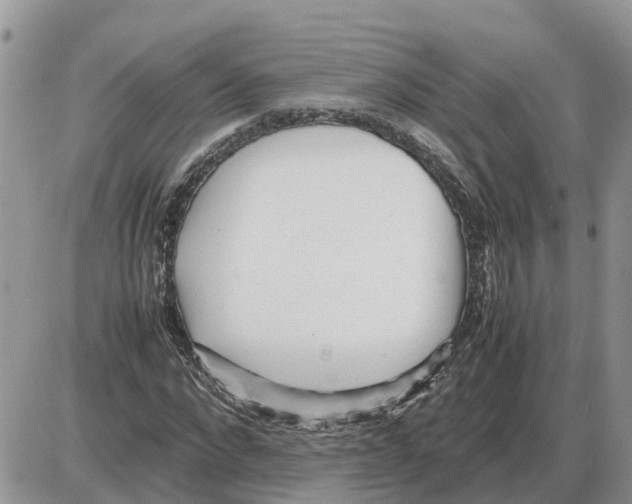 X0000086060872200704202058