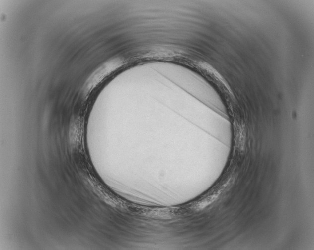 X0000086060874200704202058