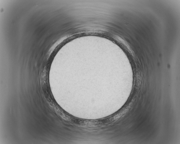 X0000086060875200704202058