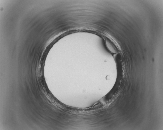 X0000086060876200704202058