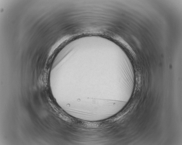 X0000086060878200704202058