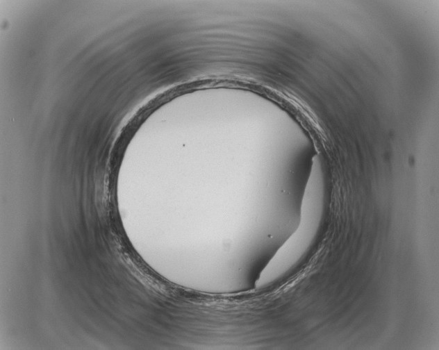 X0000086060880200704202058