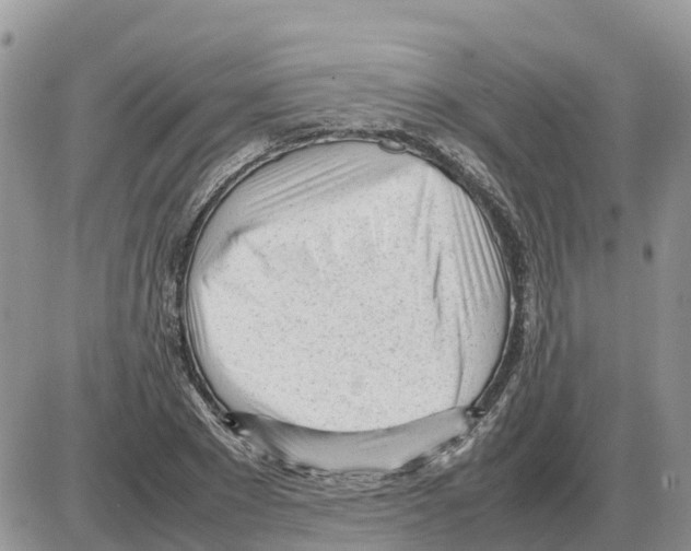 X0000086060881200704202058