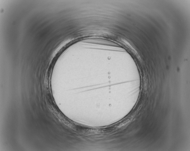 X0000086060883200704202058