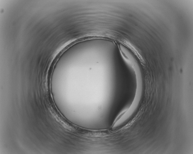 X0000086060884200704202058