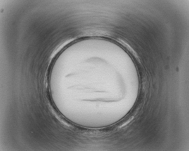 X0000086060885200704202058