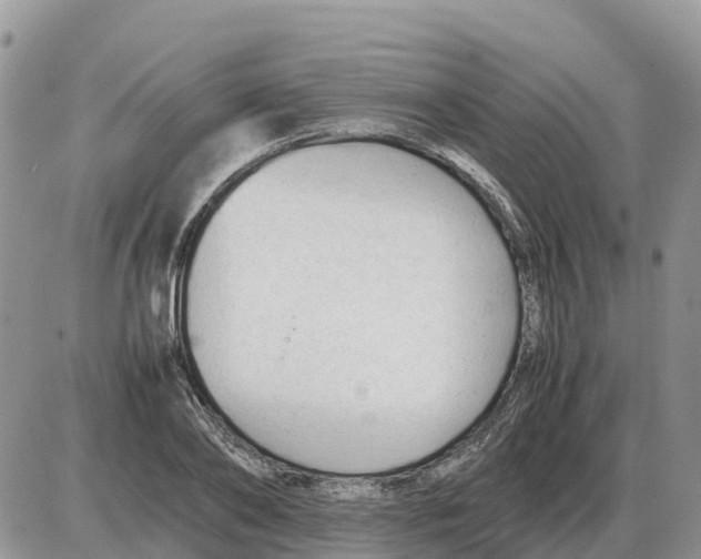 X0000086060886200704202058