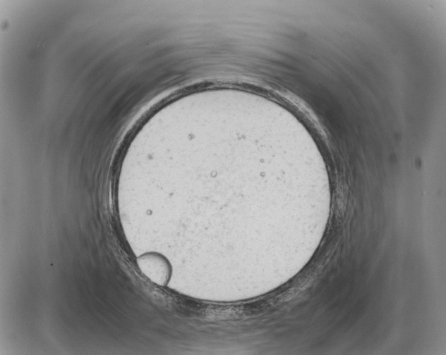 X0000086060887200704202058