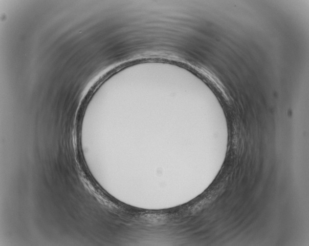 X0000086060888200704202058