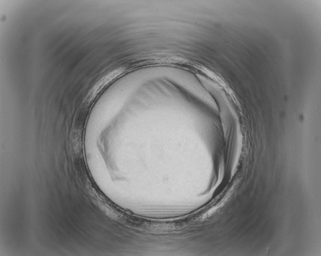 X0000086060889200704202058