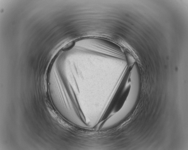 X0000086060892200704202058