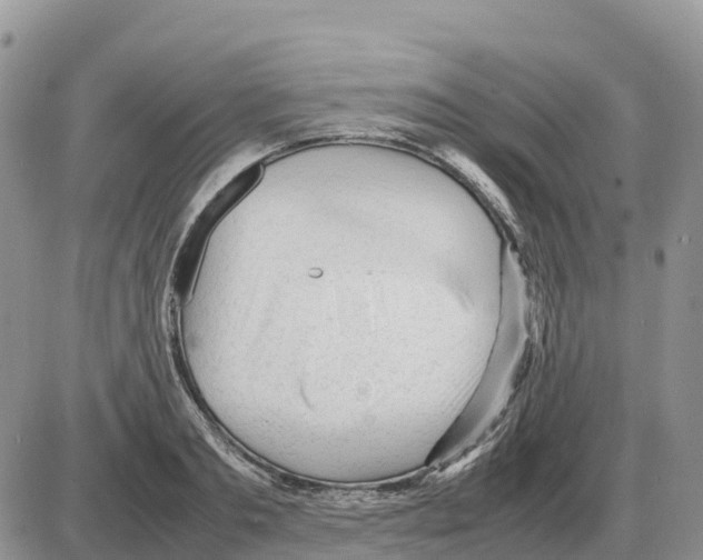 X0000086060893200704202058