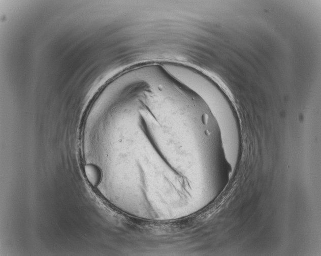 X0000086060895200704202058