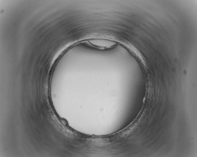 X0000086060896200704202058