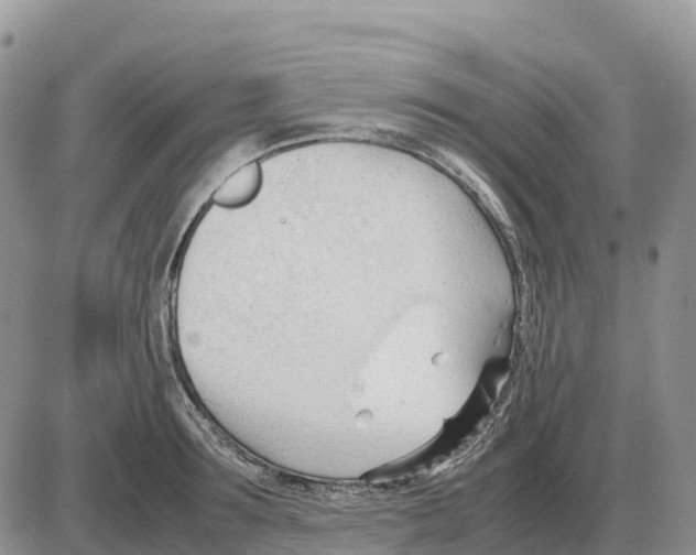 X0000086060899200704202058