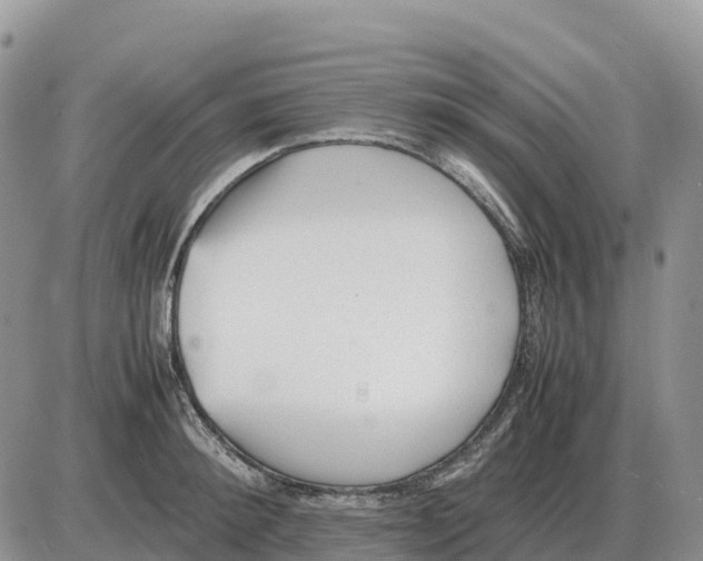 X0000086060900200704202058