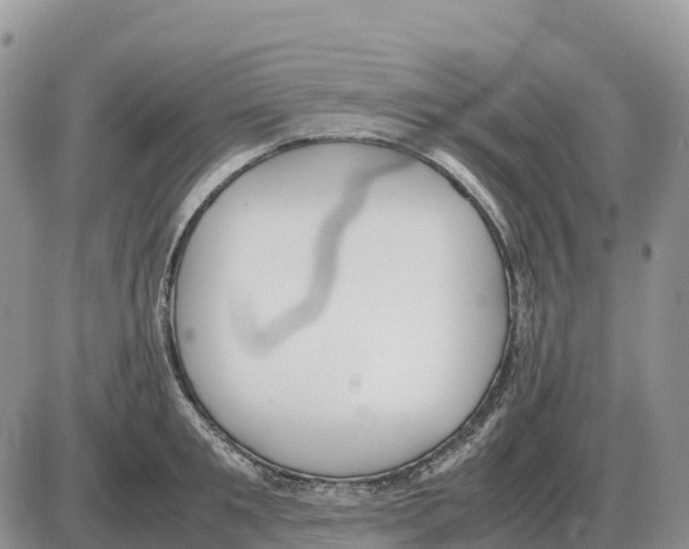 X0000086060901200704202058