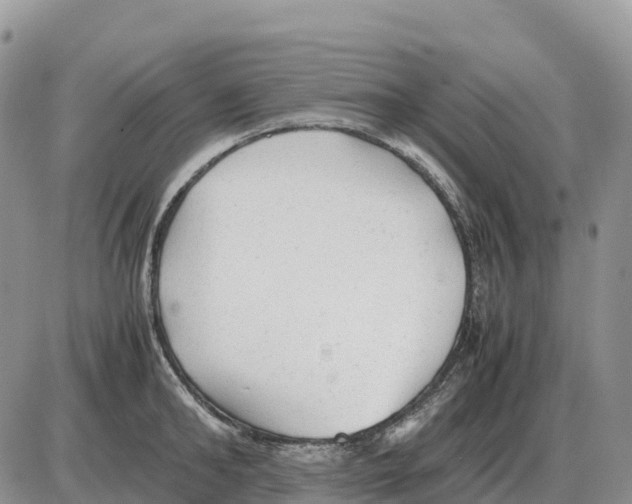 X0000086060902200704202058