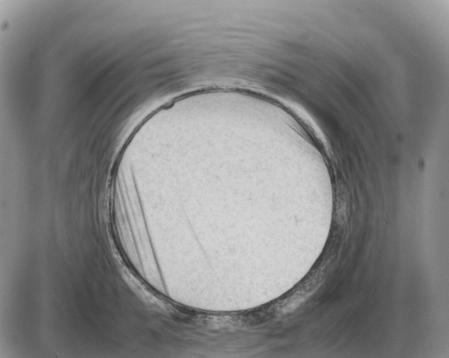 X0000086060903200704202058