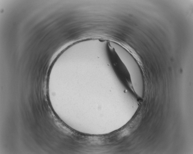 X0000086060904200704202058