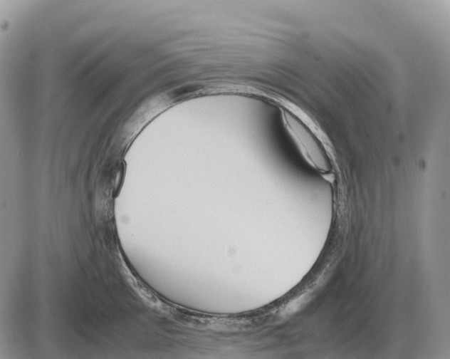 X0000086060905200704202058