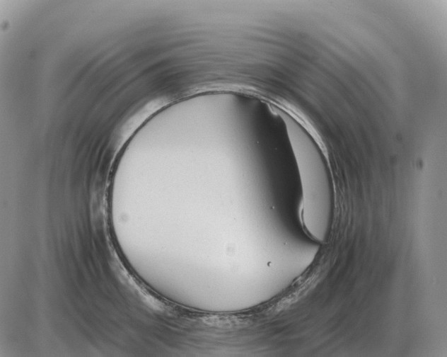 X0000086060906200704202058