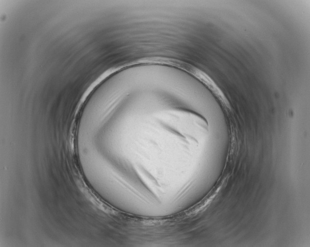 X0000086060908200704202058