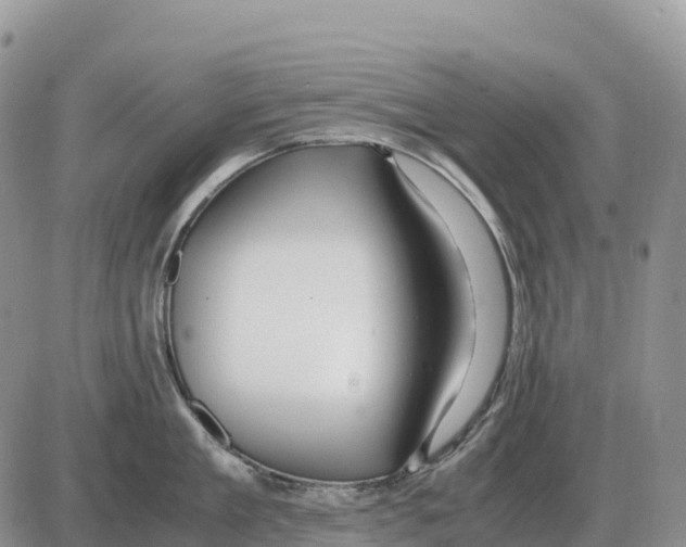 X0000086060909200704202058