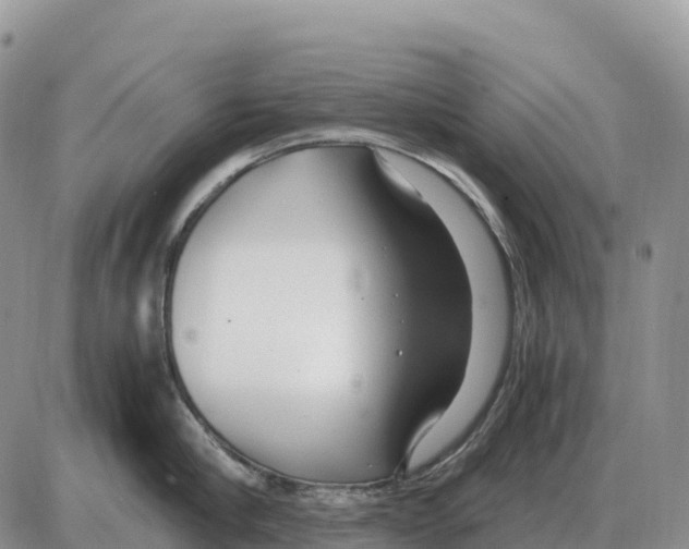 X0000086060910200704202058