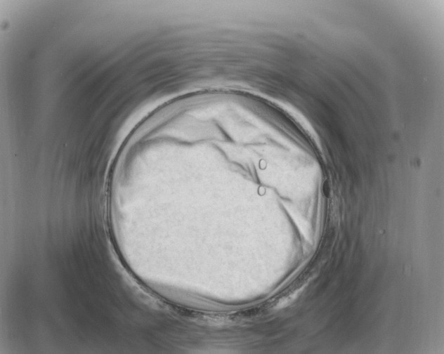 X0000086060911200704202058