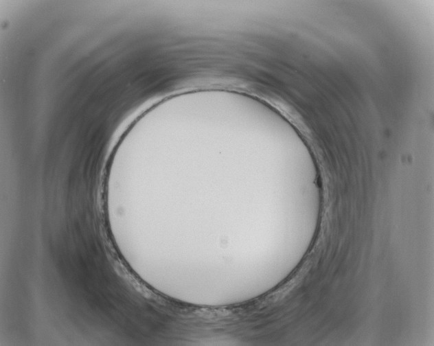 X0000086060912200704202058