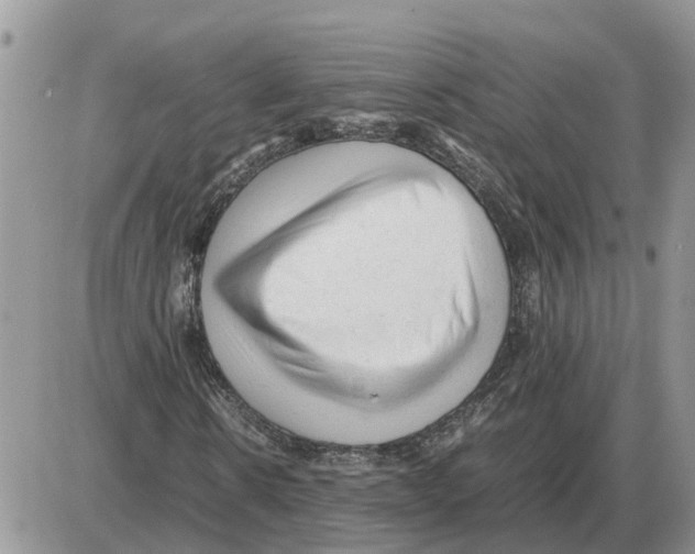 X0000086060914200704202057