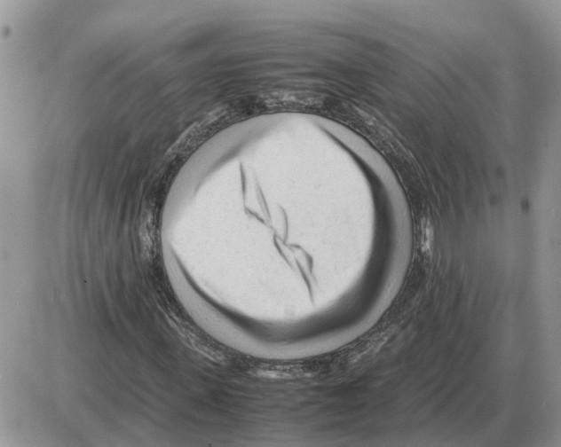 X0000086060915200704202057