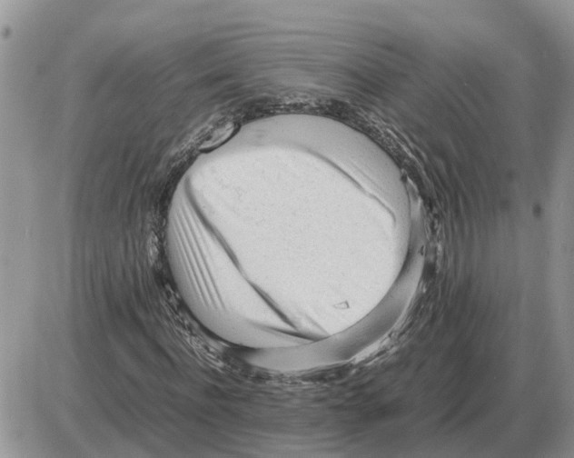 X0000086060916200704202057