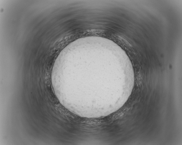 X0000086060917200704202057