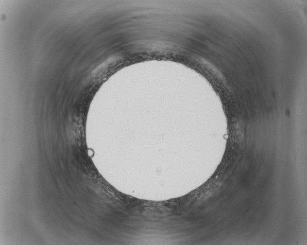 X0000086060918200704202057