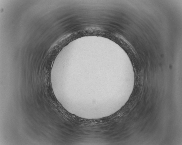 X0000086060919200704202057