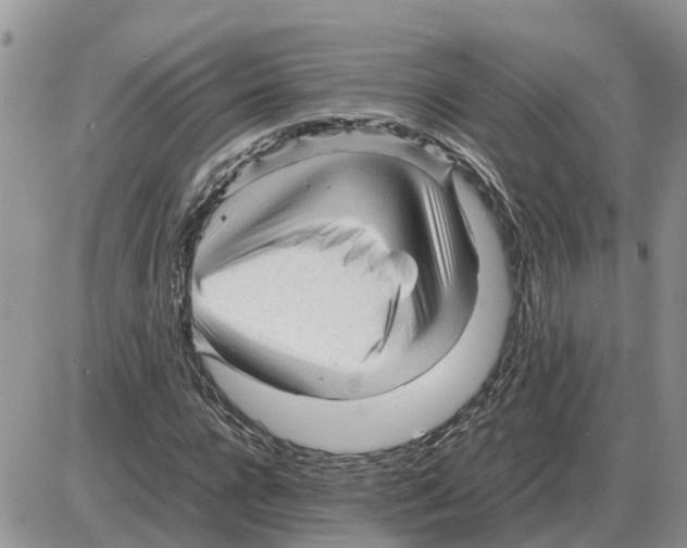 X0000086060920200704202057