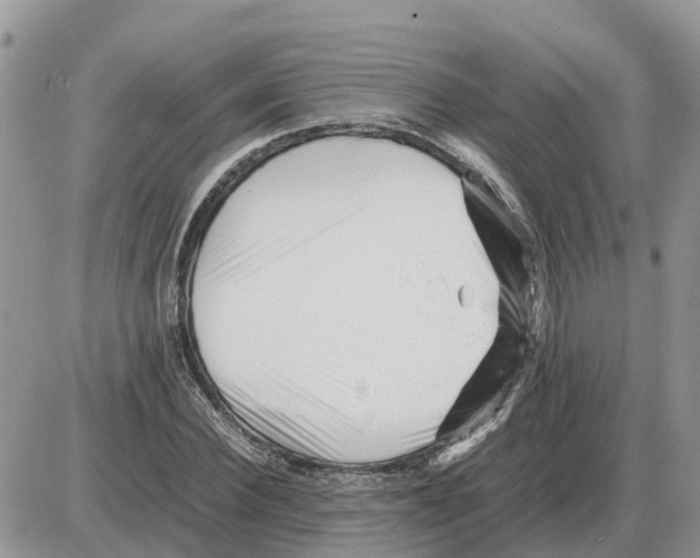 X0000086060924200704202057