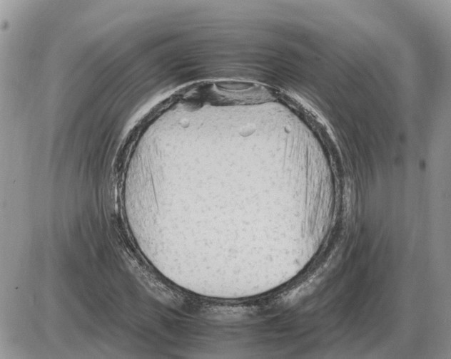 X0000086060925200704202057