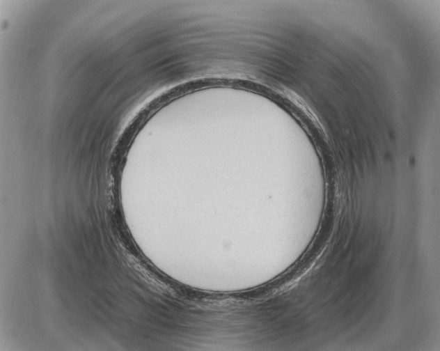 X0000086060926200704202057